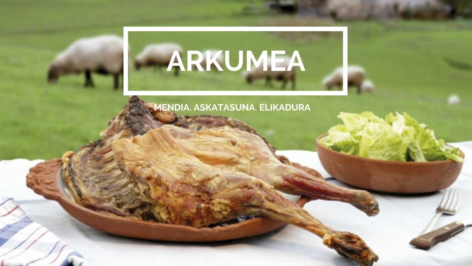 159324381 3705373036183291 1846023548106596556 n