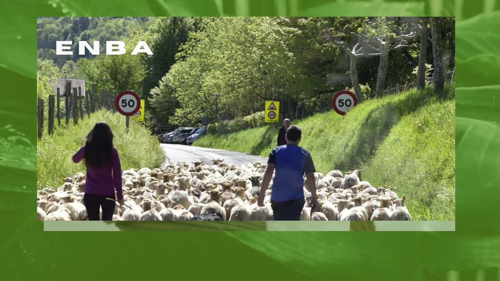 184254269 234589758424323 5233713387918632211 n