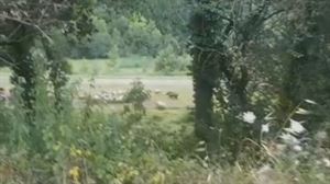 20200804150642 erasoa foto300x168