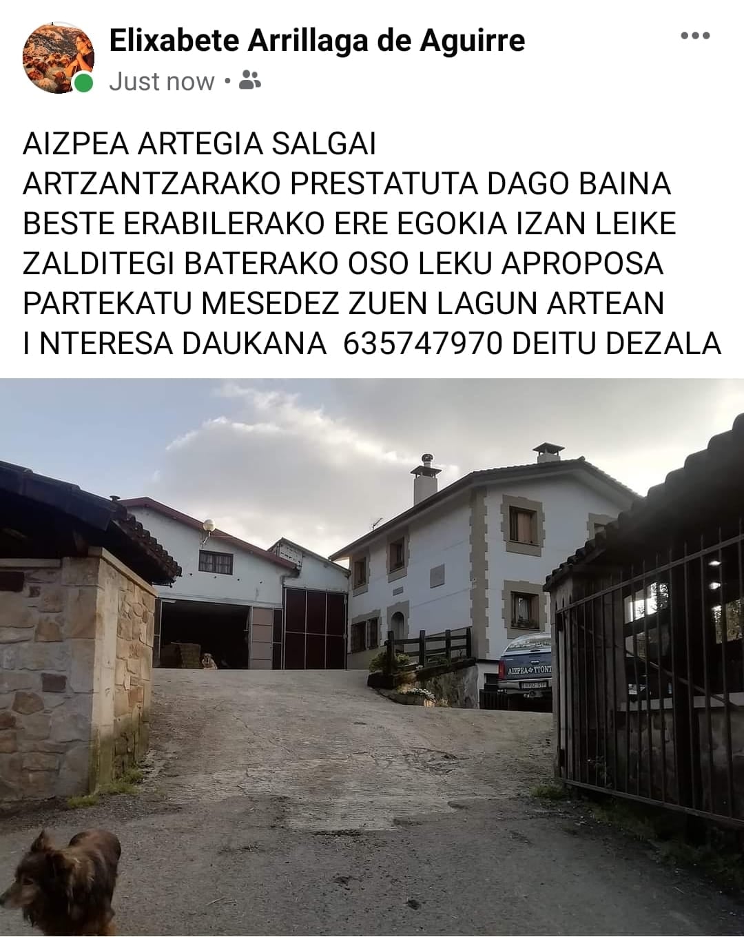 219734857 1622050807983643 5566457062880298029 n