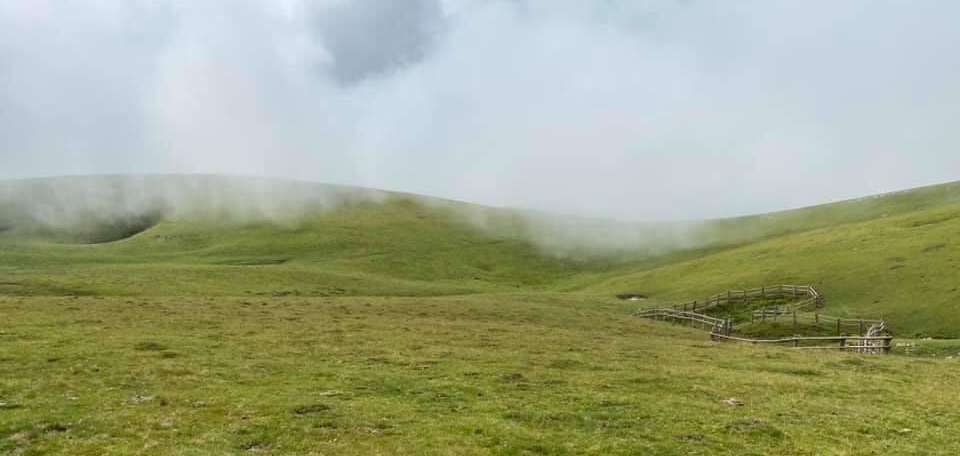 225917525 1628991353956255 2481379951605668787 n