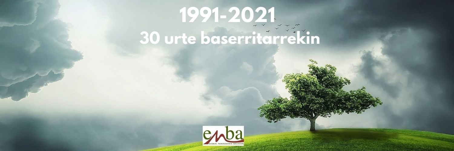 241352595 1659155867606470 5986763911700699790 n