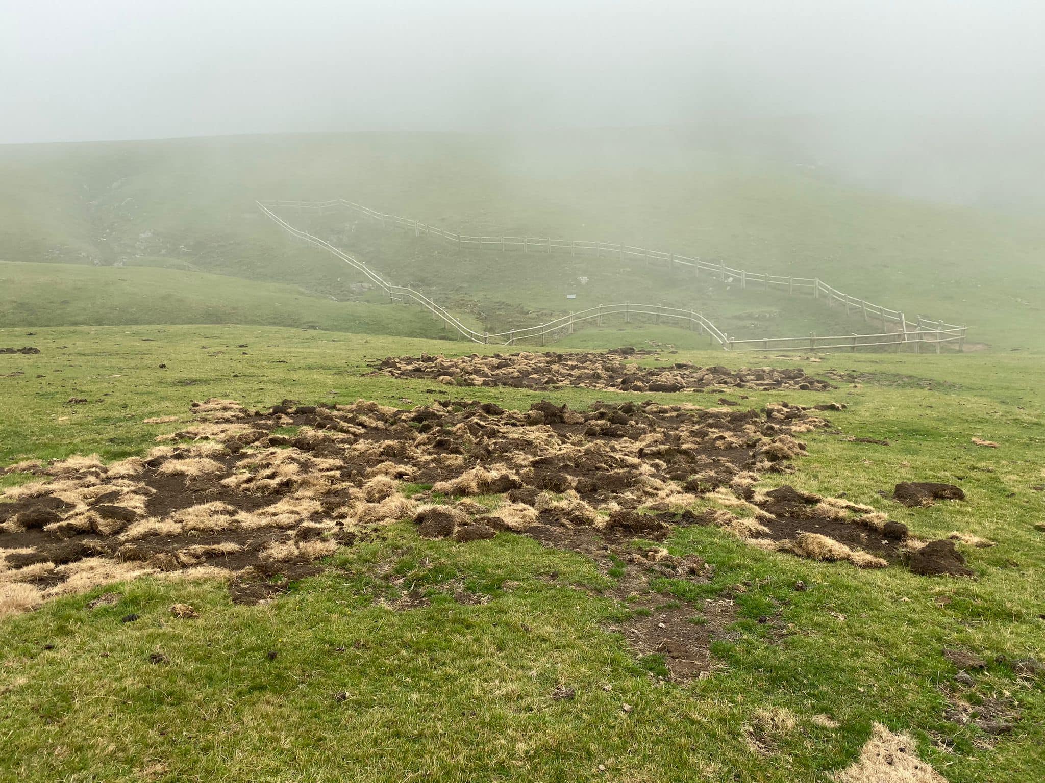 241742820 1659796154209108 4972927392714686449 n