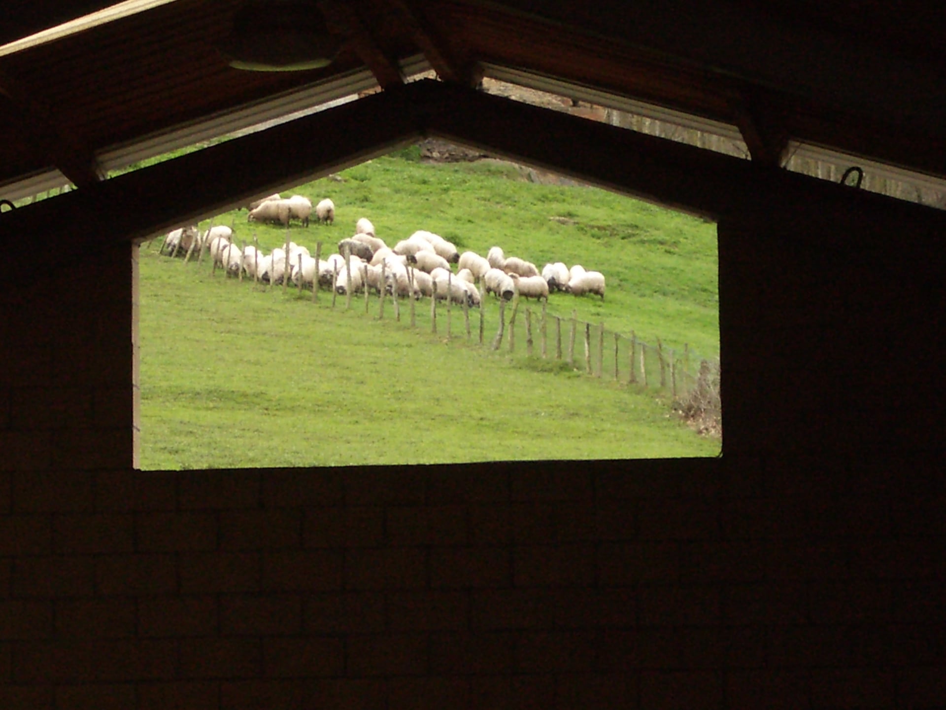 260450453 1713002275555162 8469747982409718854 n