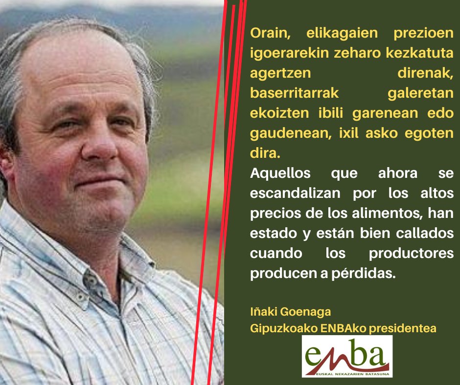 330772127 675440497691113 1909890836292243791 n