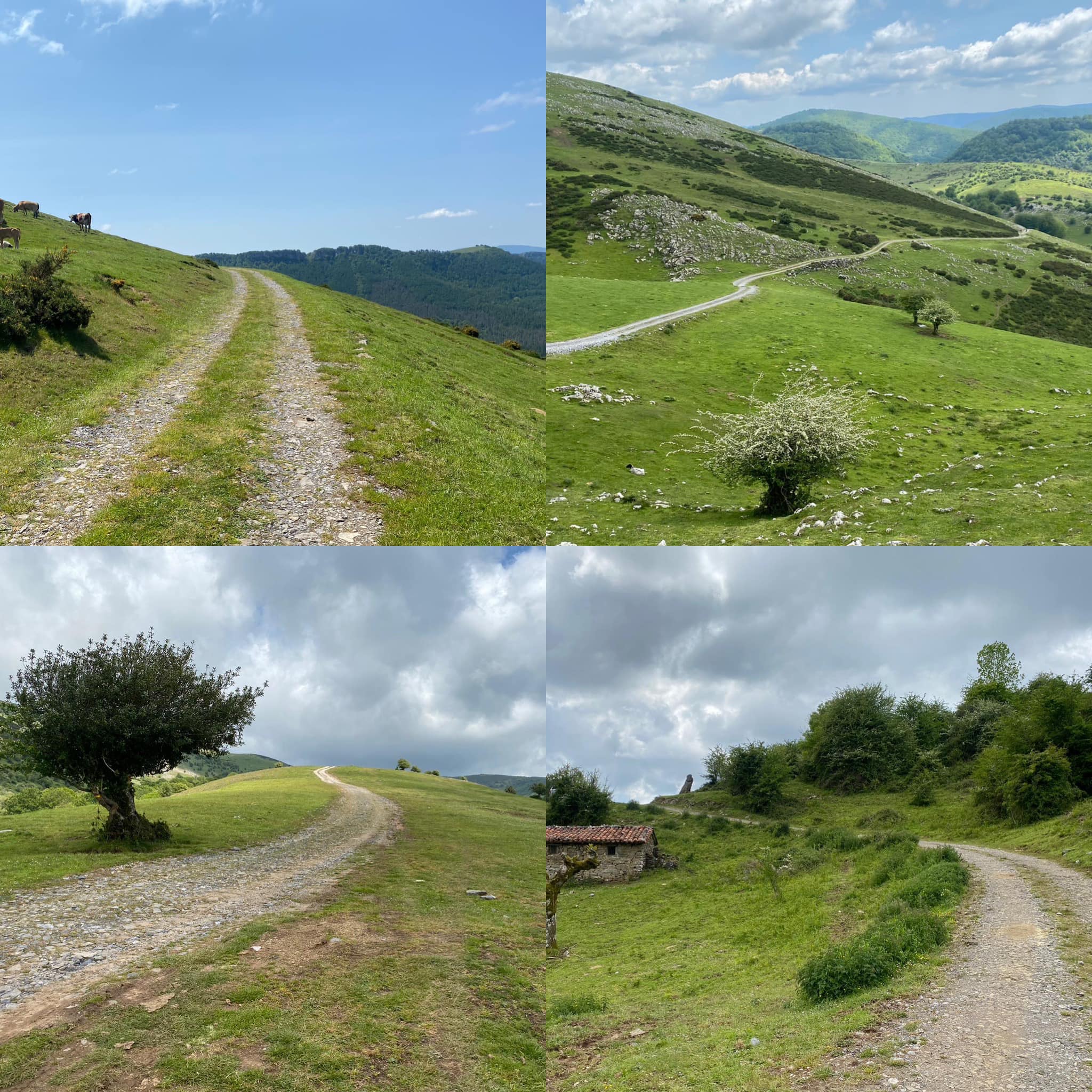 347269888 673675171261641 361430218485123498 n