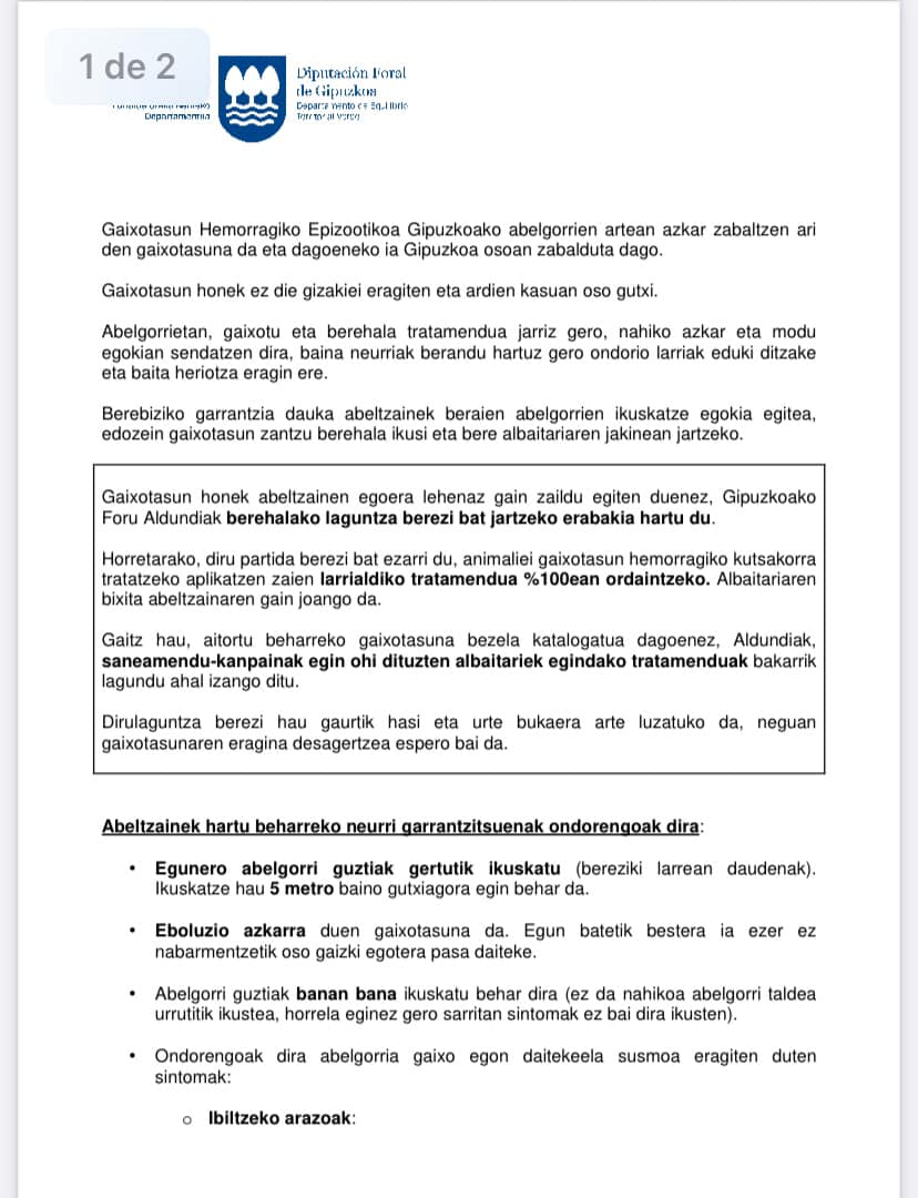 382793722 804190258169650 7322422933553047226 n