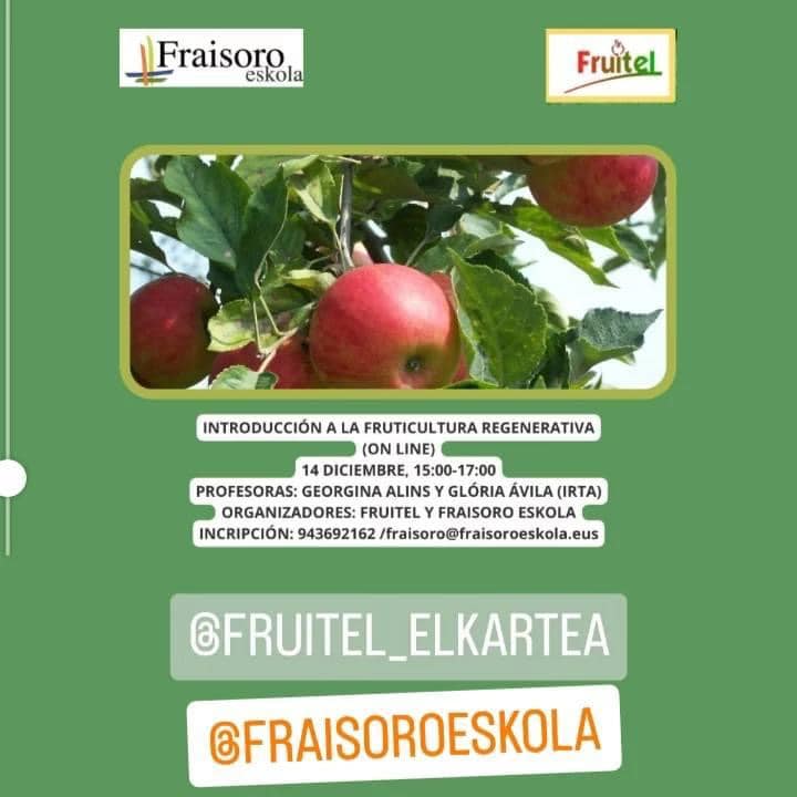 406396763 841403137781695 2660340876956311618 n