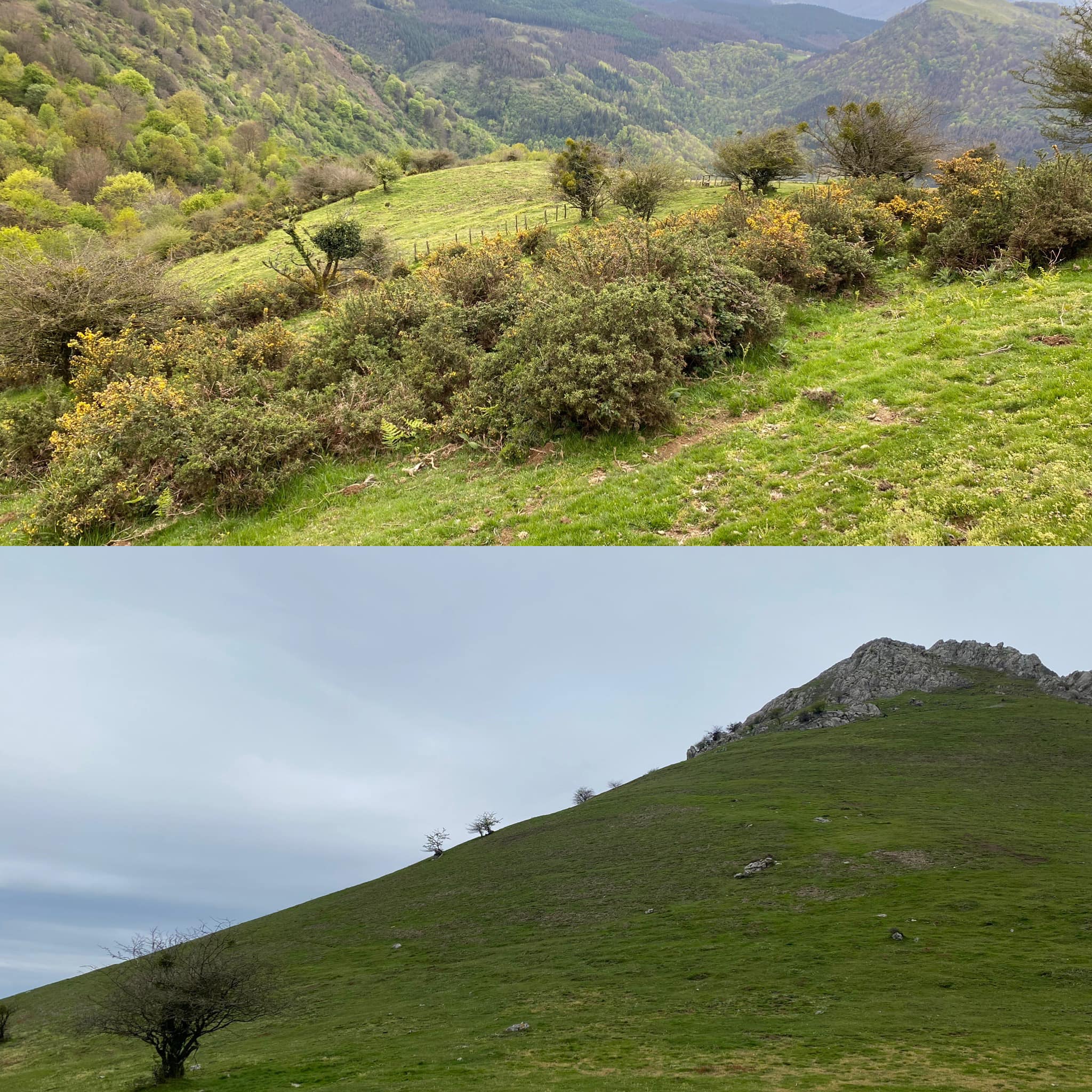 439840324 925588732696468 4506755657045327401 n