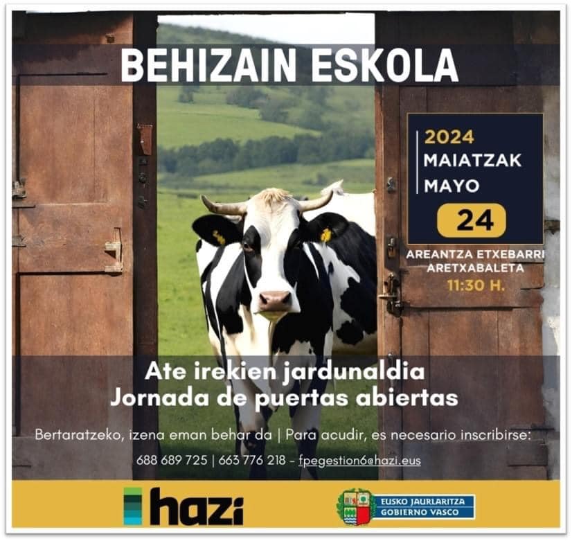 441454161 932215932033748 7167448953468940879 n