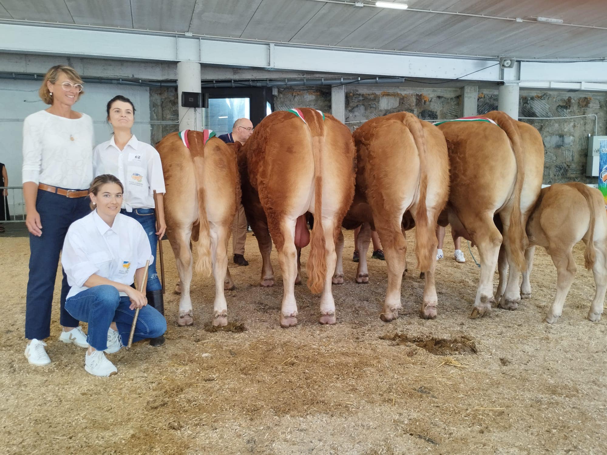 457737511 1006591971262810 8746399329548855647 n