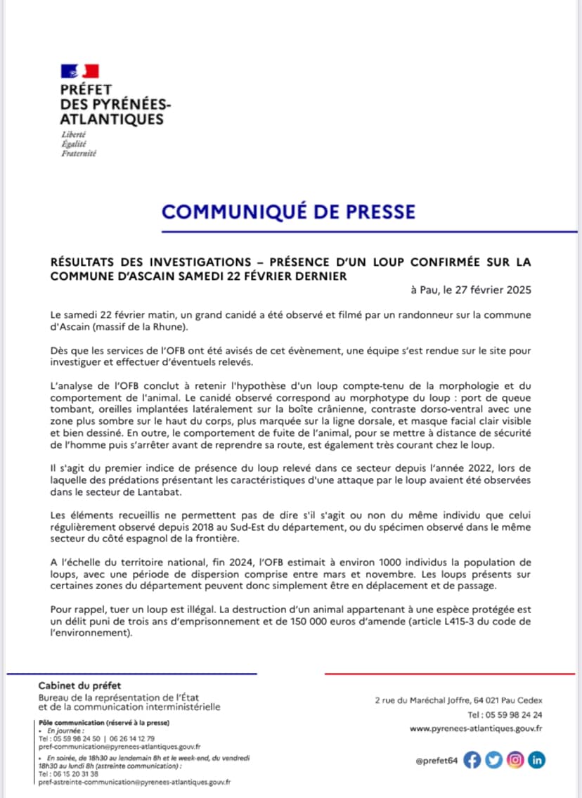 481059181 1132600685328604 3306471344507218540 n