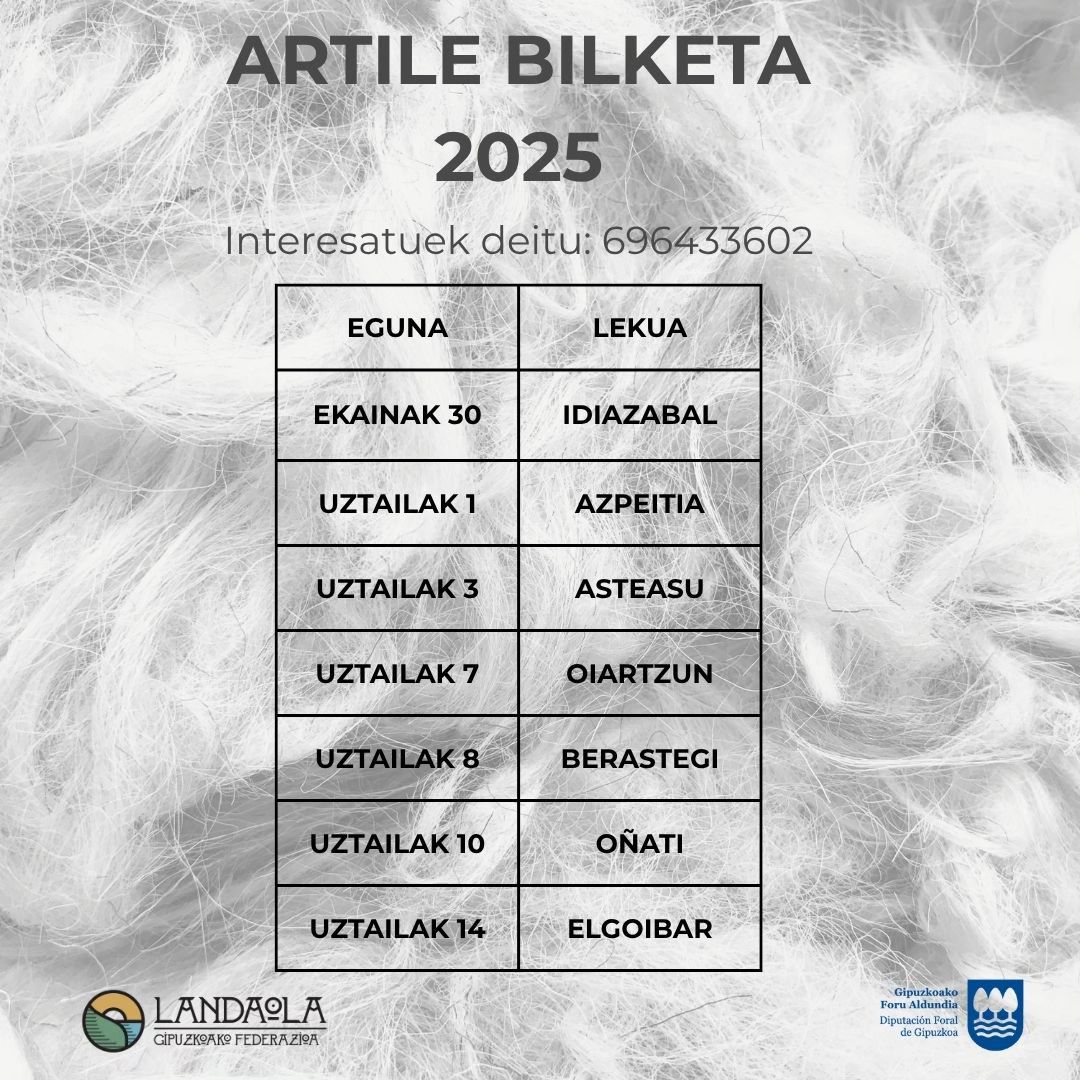 505653563 1135864648582170 358202714776994593 n