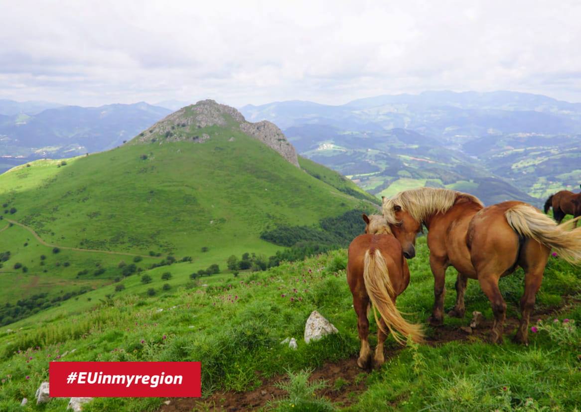 70429006 1298275463685163 2335528955580252160 o