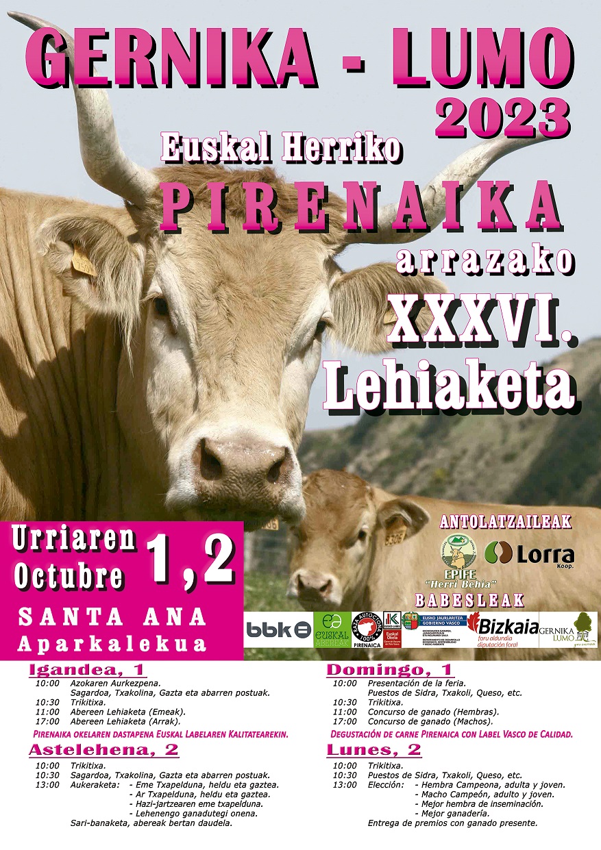 Cartel Anunciador GERNIKA LUMO 2023 web