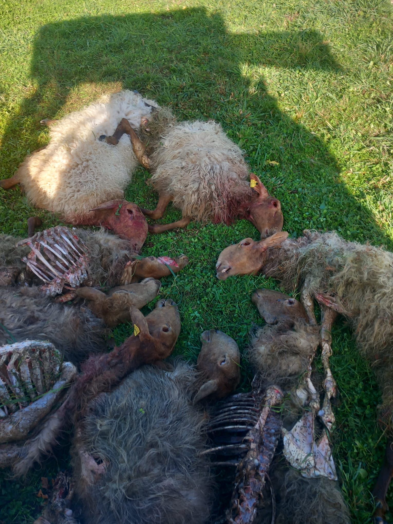 WhatsApp Image 2024 04 22 at 10.17.11