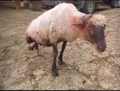 WhatsApp Image 2024 08 26 at 13.45.57