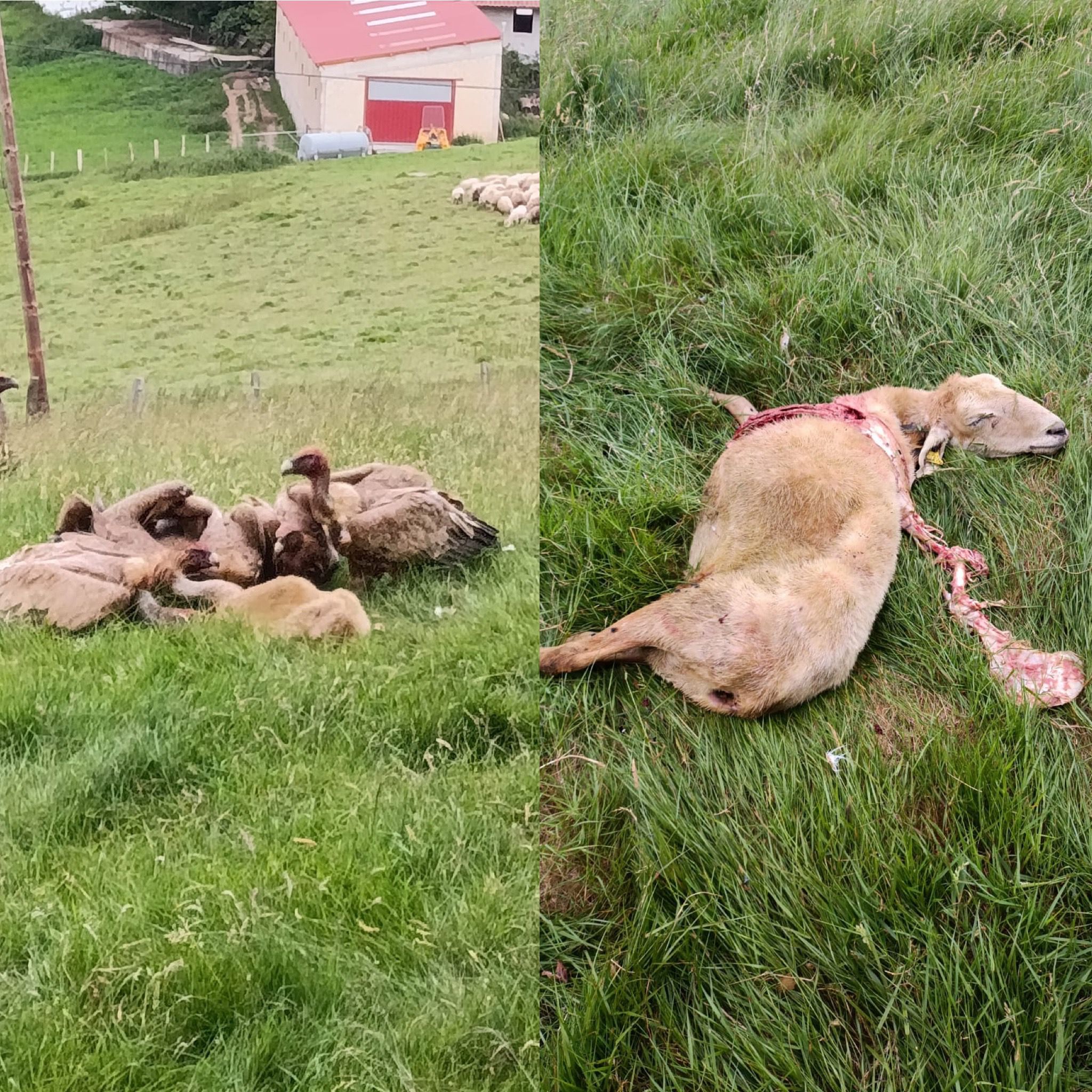 WhatsApp Image 2025 06 16 at 16.30.08