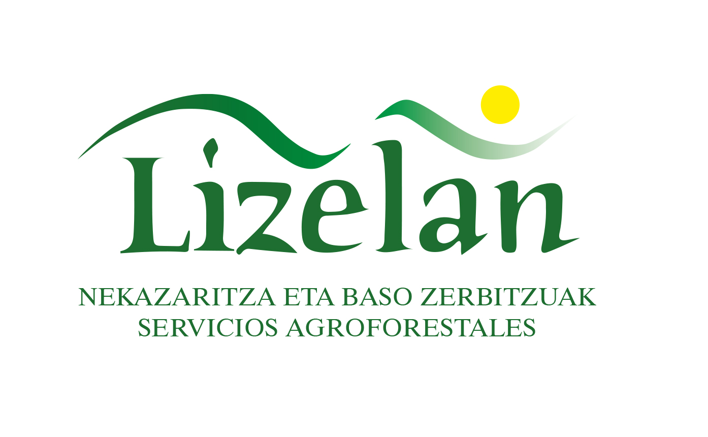 lizelan