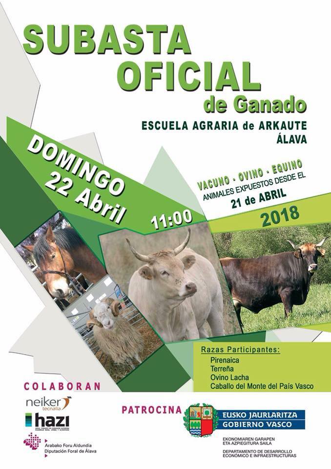 subasta.arkaute.2018