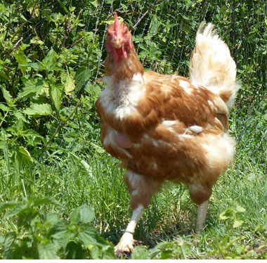 Prevención de riesgos laborales