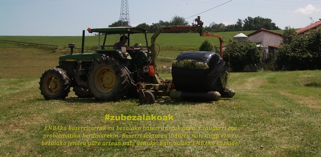 zubezalakoak.ertaina